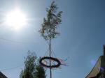 Der Maibaum in Weferlingen 2007