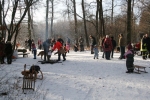 09_01_10_winterwanderung_im_wald