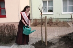 Kirschk&ouml;nigin Christin beim Giessen des Kirschbaumes